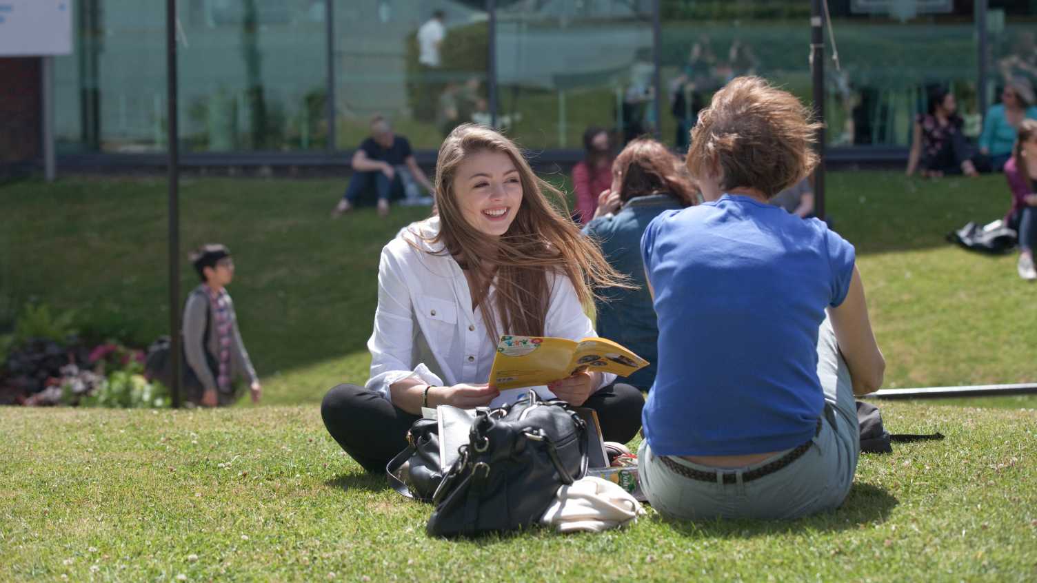 university-of-sheffield-bursaries-2024-entry-undergraduate-study